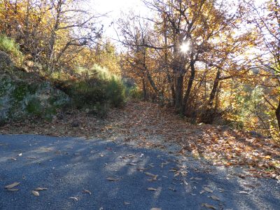 Croisement après Bastide