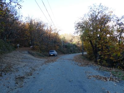 Croisement après Tribale