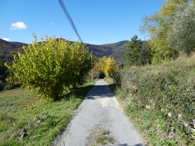 Croisement après pain 2