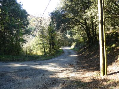 Croisement après pain 3
