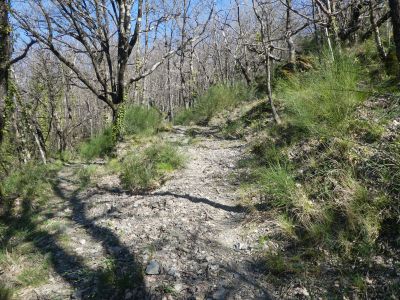 Croisement montée Comte