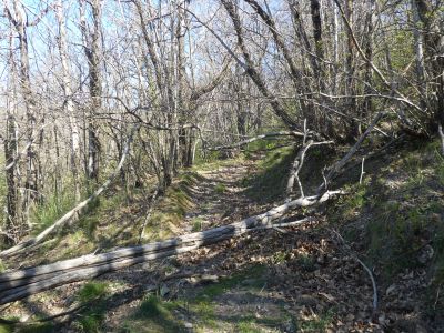 Croisement montée Comte 2