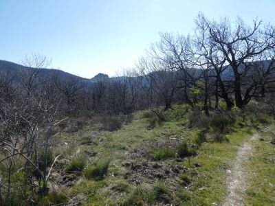 Vue jonction chemin Lasalle