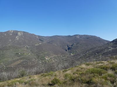 Vue Lingas