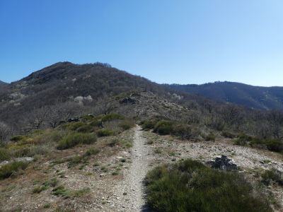 Croisement crête Fageole