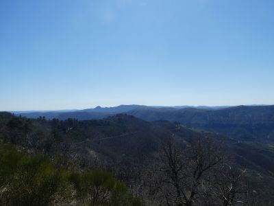 Vue Cévennes