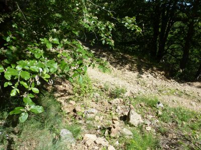 Croisement montée Col Baraque 2