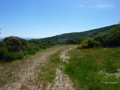 Croisement après Barrat 2