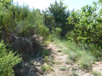 Vue chemin montée Coulègne