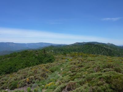 Descente Coulègne