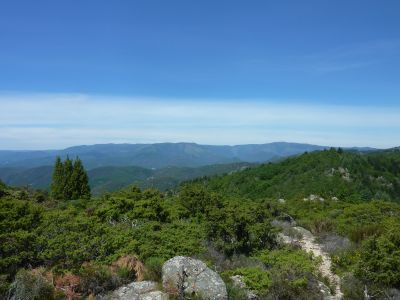 Vue Cévennes 6