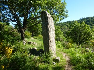 Vue Pierre Plantée