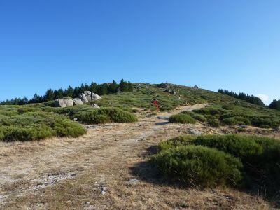 Croisement piste 1143