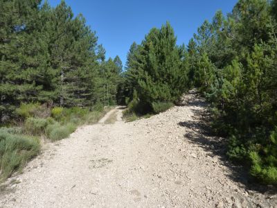 Croisement après H28