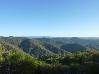 Vue Cévennes