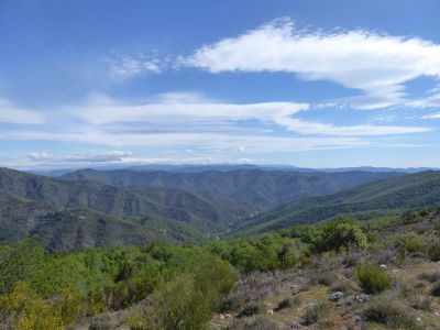 Vue Cévennes