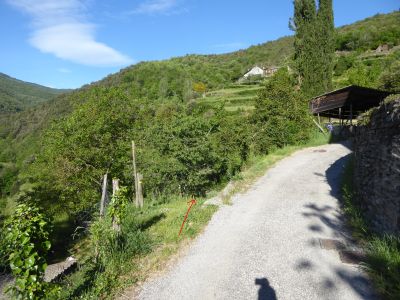 Croisement fin Monteils