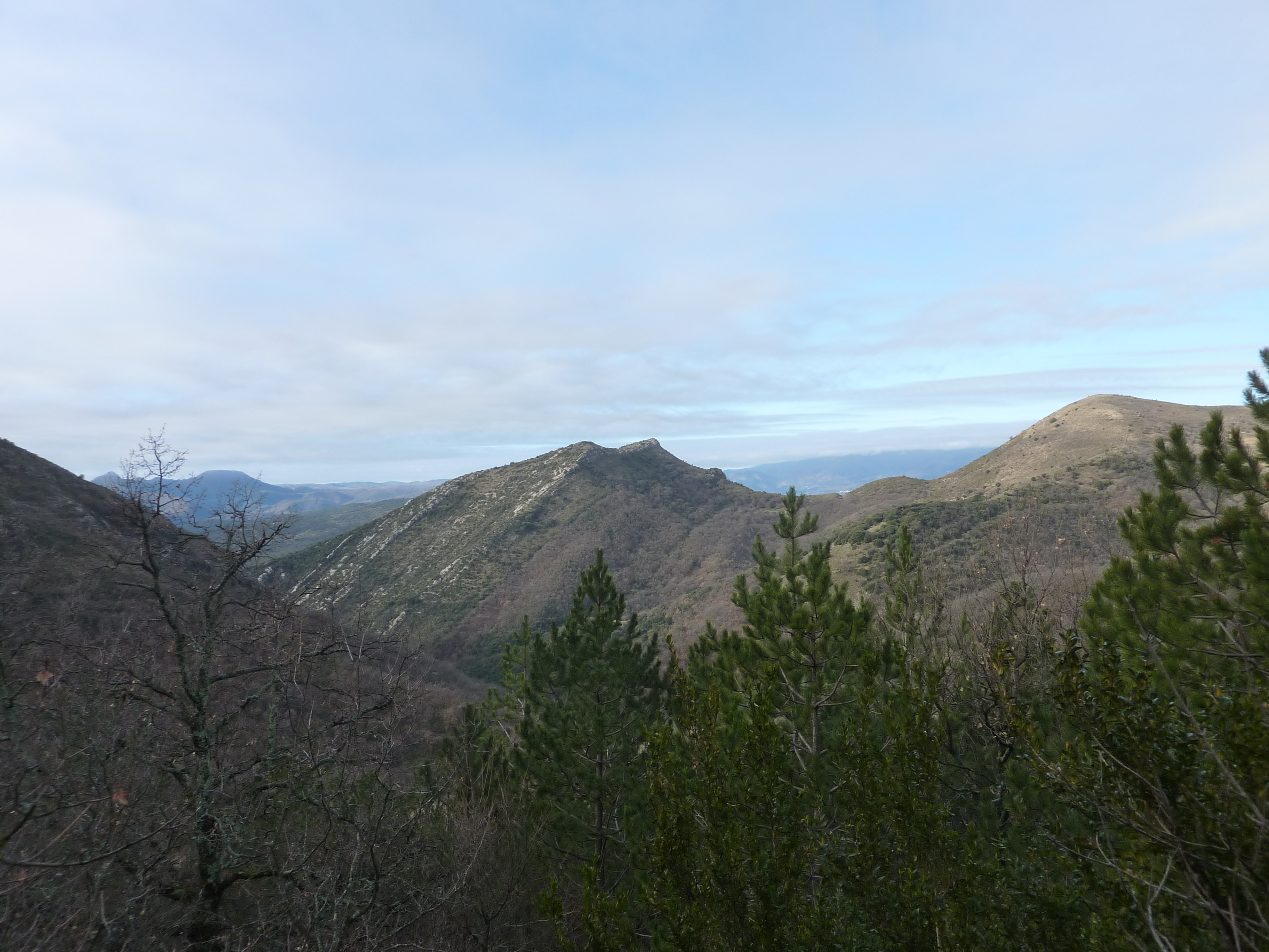 25 Rue De La Montagne De La Fage Topo randos montagne | Montagne de la Fage (931 m) et Montagne des  Cagnasses (725 m) par les Gorges de la Cadière, le Prieuré Saint-Martin et  Cézas depuis la Cadière-et-Cambo