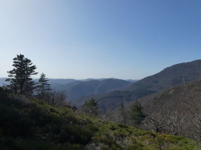 Vue Cévennes