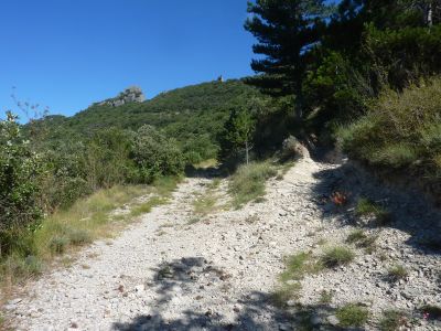 Croisement avant Baraquette