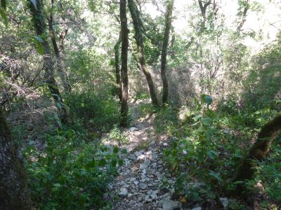 Vue descente plateau Blandas