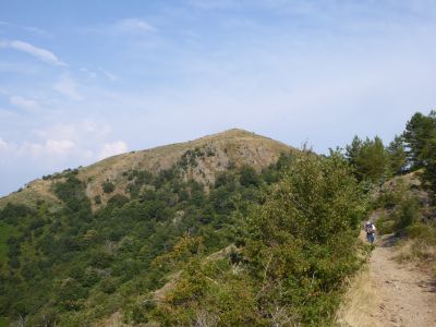 Vue Serre Borgne