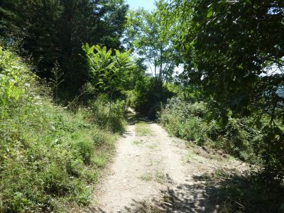 Croisement après Rouviérette