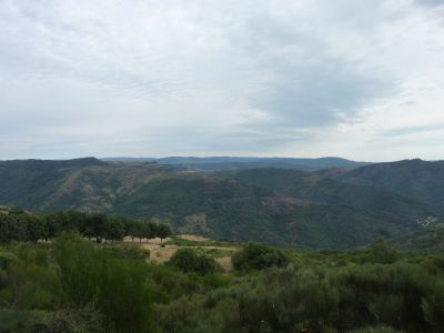 Vue Cévennes 2