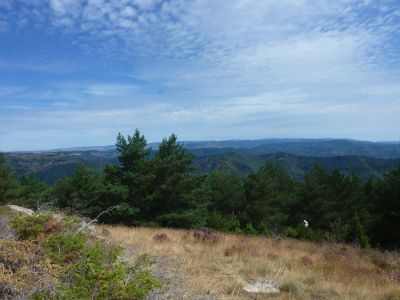 Vue Cévennes 4