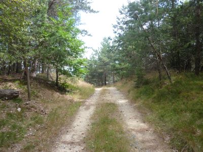 Sortie Parc Cévennes