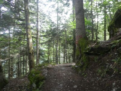 Chemin Impératrice 2