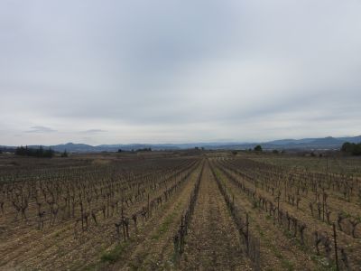 Vue Haut-Languedoc 4