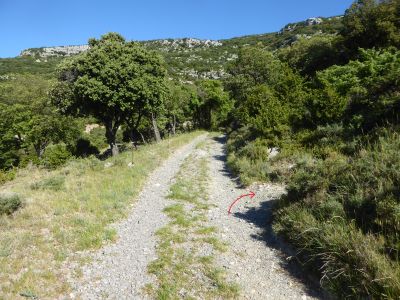 Croisement après Griffe