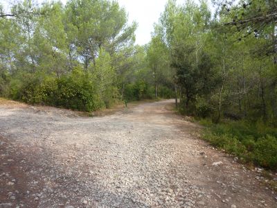 Croisement après Capelette 2