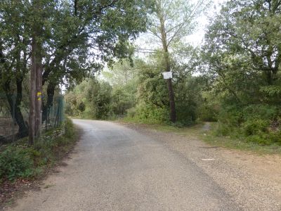 Croisement avant Capitelle 1