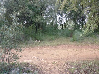 Croisement Capitelle 4