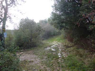 Croisement extension