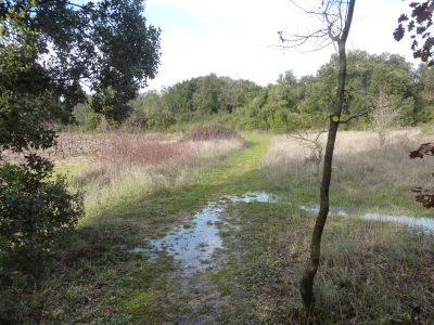 Croisement après extension