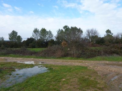 Croisement après extension 3