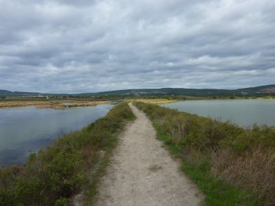 Vue sentier Salins