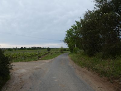 Croisement Médeilhan