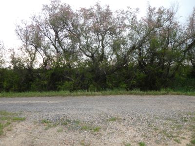 Croisement fin Médeilhan