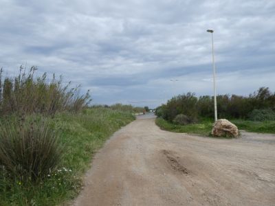 Croisement après plage