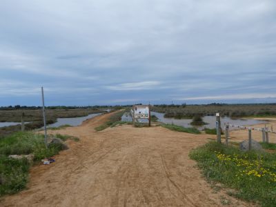 Croisement Salan rouge / VTT 21