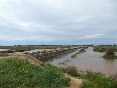 Vue barrage anti-sel 2