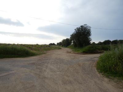 Croisement fin Dragonnière