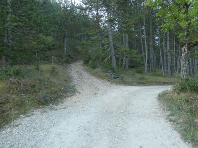 Croisement piste Single