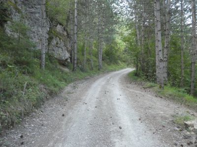 Croisement piste Single 5