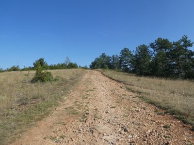 Croisement A/R Single