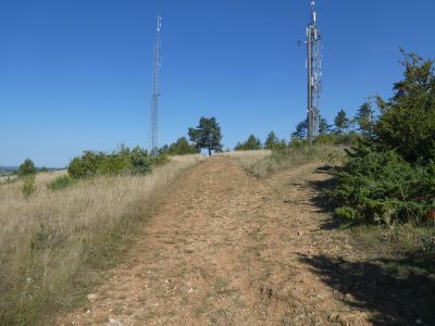 Croisement antennes Single